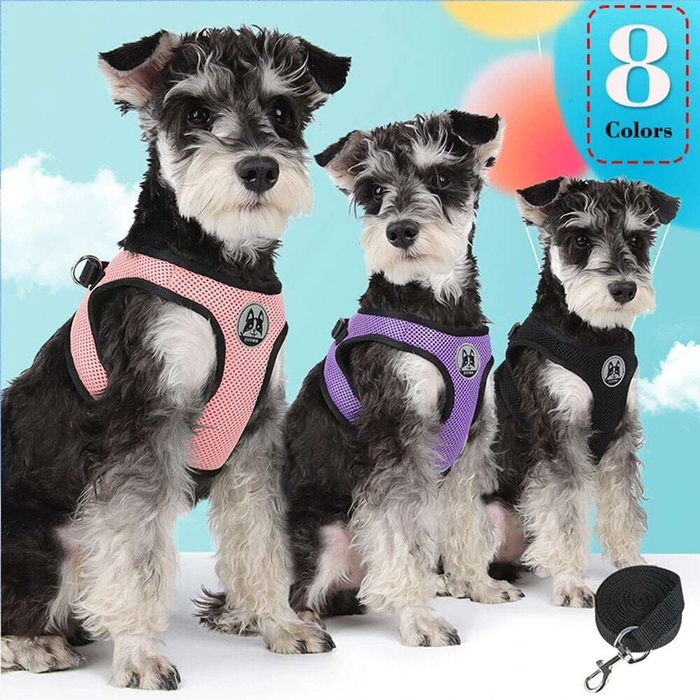 3-Pieces Breathable Step-in Dog Harness and Leash Set | No Pull Design | Small Dogs, Puppies, Cats | Pet Vest for Summer Walks