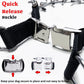 Dog Collar for Anti-Pull Training with Metal Buckle