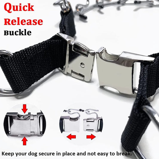 Dog Collar for Anti-Pull Training with Metal Buckle