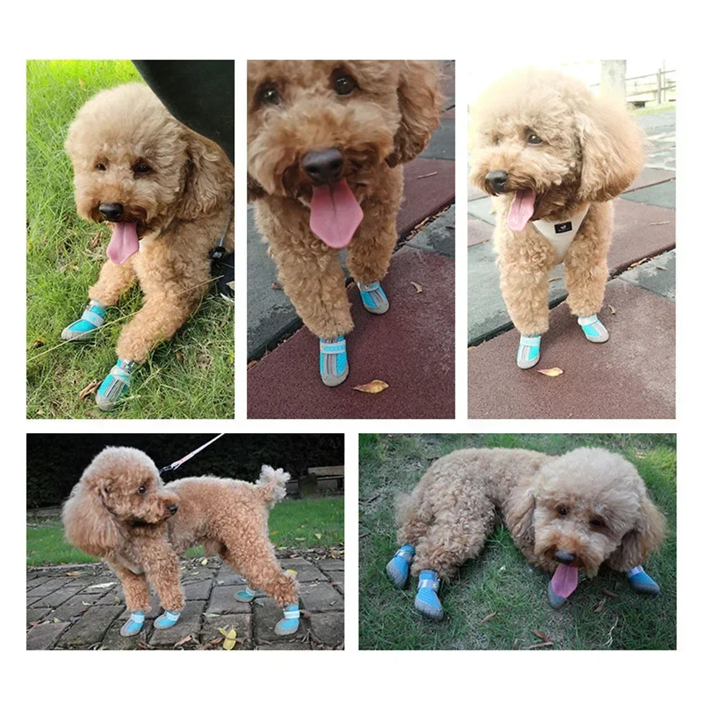 Breathable Dog Boots & Paw Protectors