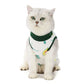 Cat Recovery Suit | E-Collar Alternative