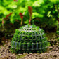 Aquarium Moss Ball Dome | Decorative Fish Tank Moss Holder for Aquatic Plants & Shrimp Habitat