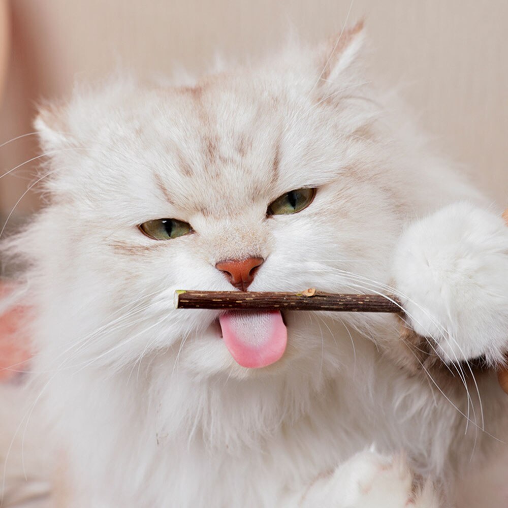 Catnip Chew Toys for Cats | Fun Cigarette Design Molar Toothpaste Stick with Actinidia Silvervine for Natural Cat Teeth Cleaning