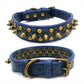 Spiked Dog Collar with Mushroom Rivets