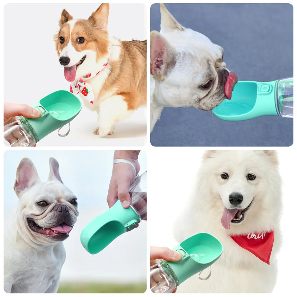 Portable Water Bottle | Leakproof & Eco-Friendly