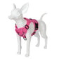 Cat Harness and Leash Set | Reflective & Breathable