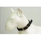 Leather Dog Collar with Heavy Duty Hardware