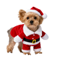 Dog Santa Claus Outfit | XS - XL Available