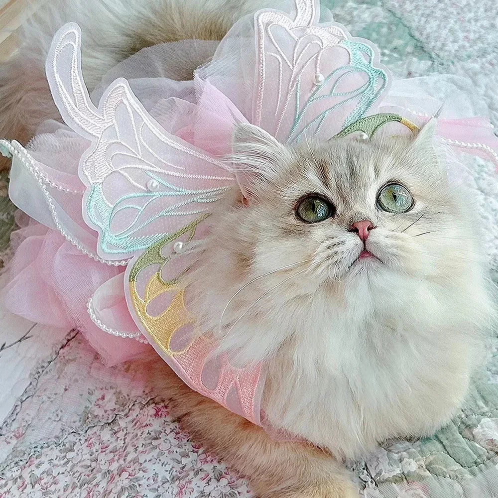 Rainbow Butterfly Dress | for Cats and Dogs