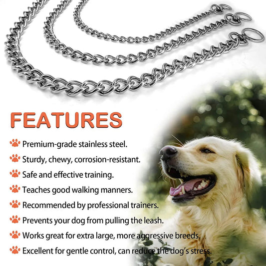 Stainless Steel P Chain Collar
