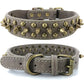 Spiked Dog Collar with Mushroom Rivets