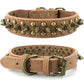 Spiked Dog Collar with Mushroom Rivets
