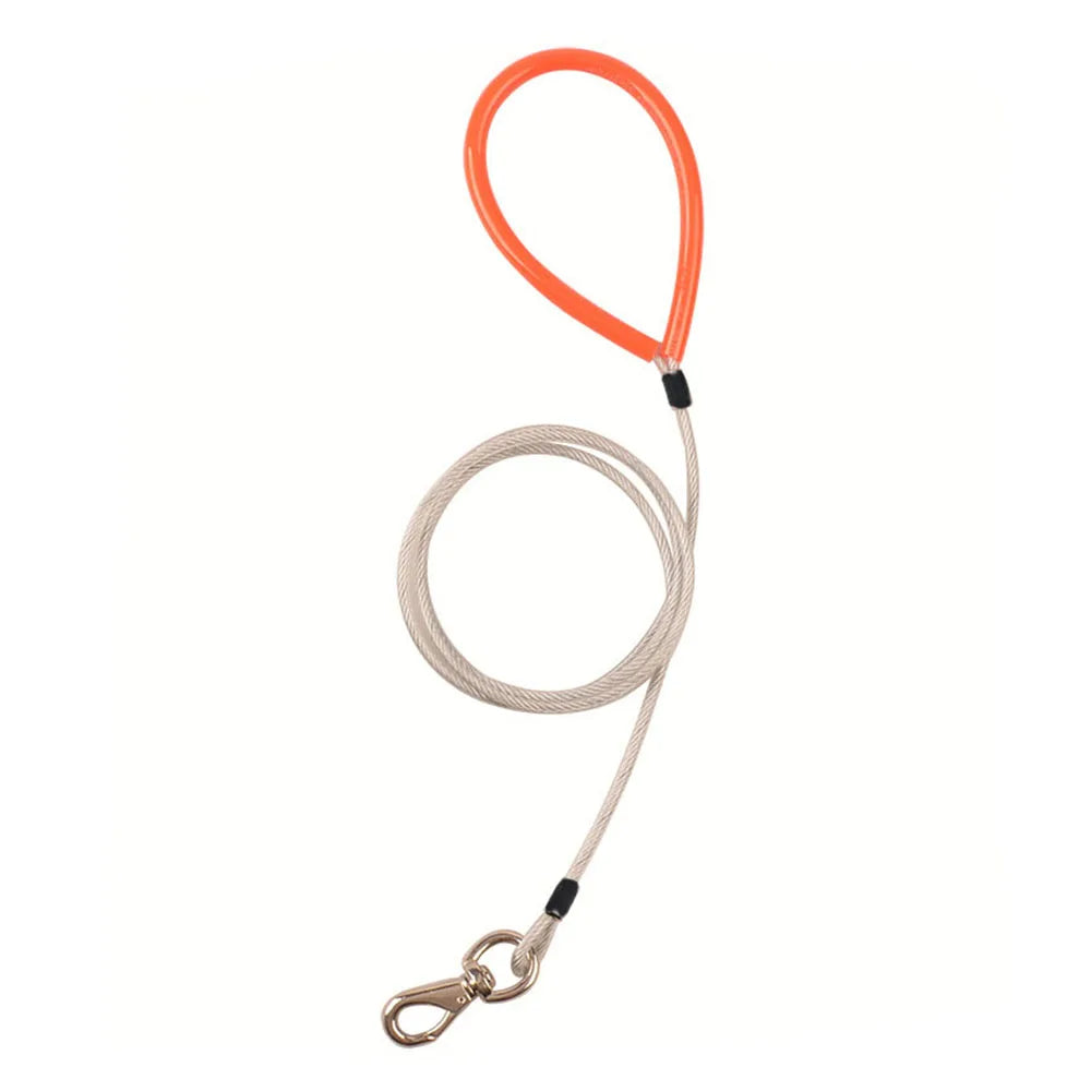 Anti-Bite Chain Leash | Chew Proof