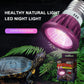 LED Reptile Night Lamp | Soft Light E27 Bulb for Amphibians & Reptiles | Calcium & Vitamin D3 Supplementation