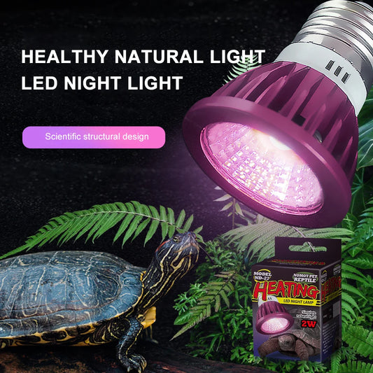 LED Reptile Night Lamp | Soft Light E27
