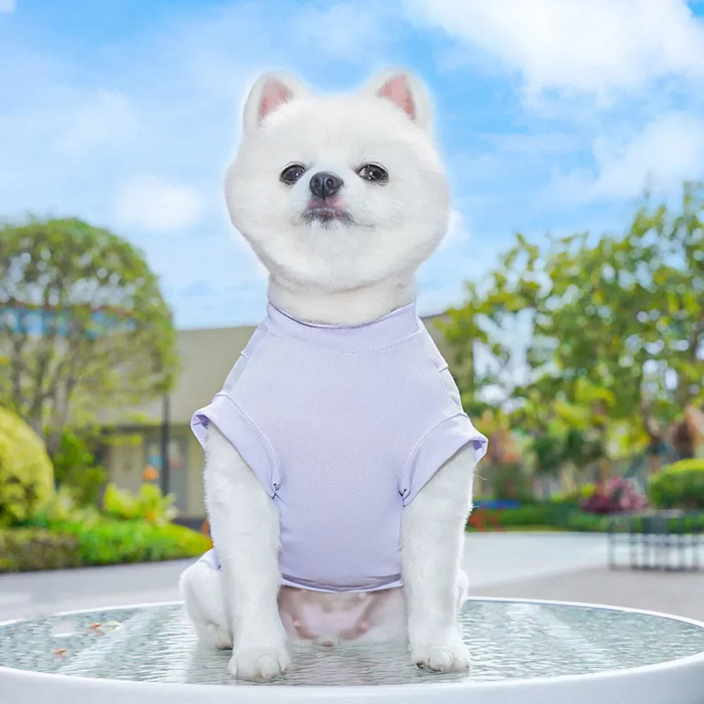 Summer Cooling Dog Vest | Small Sizes