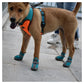 Breathable Dog Boots & Paw Protectors