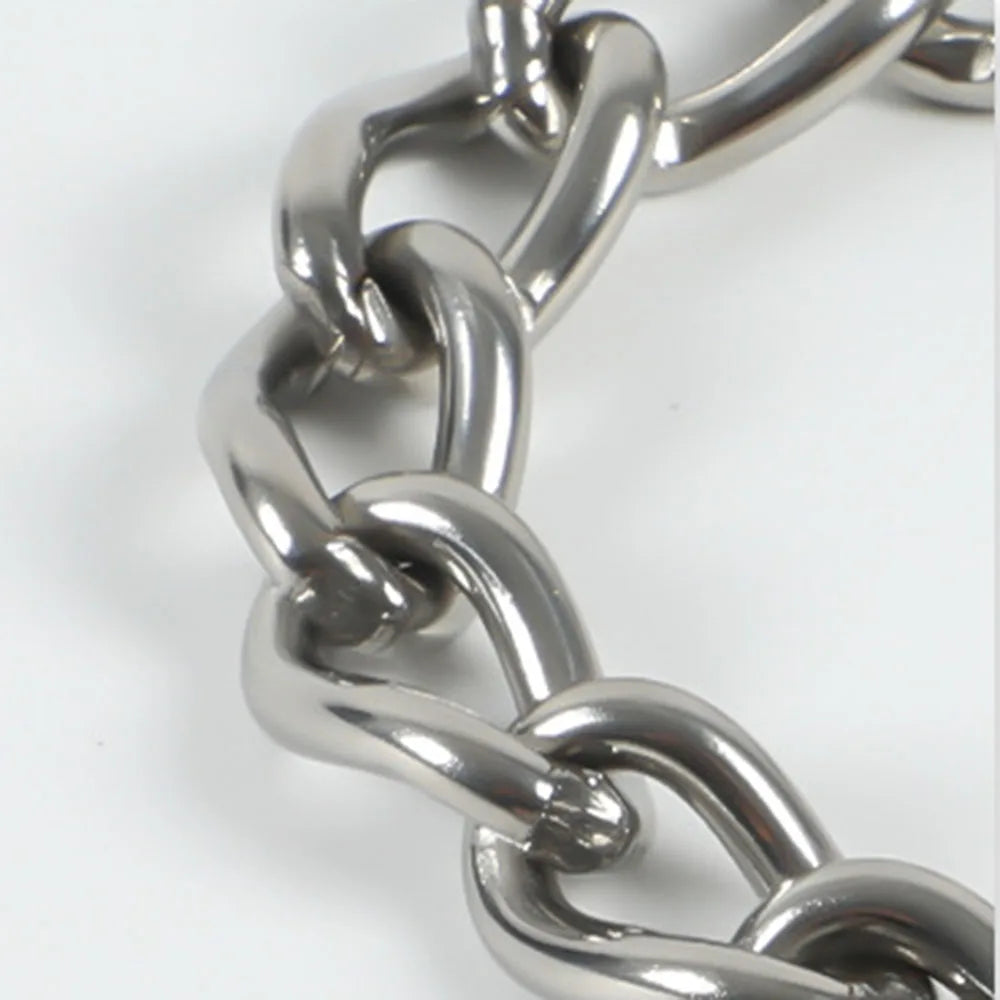Stainless Steel P Chain Collar