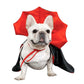 Cat Halloween Costume | Red & Black Cloak
