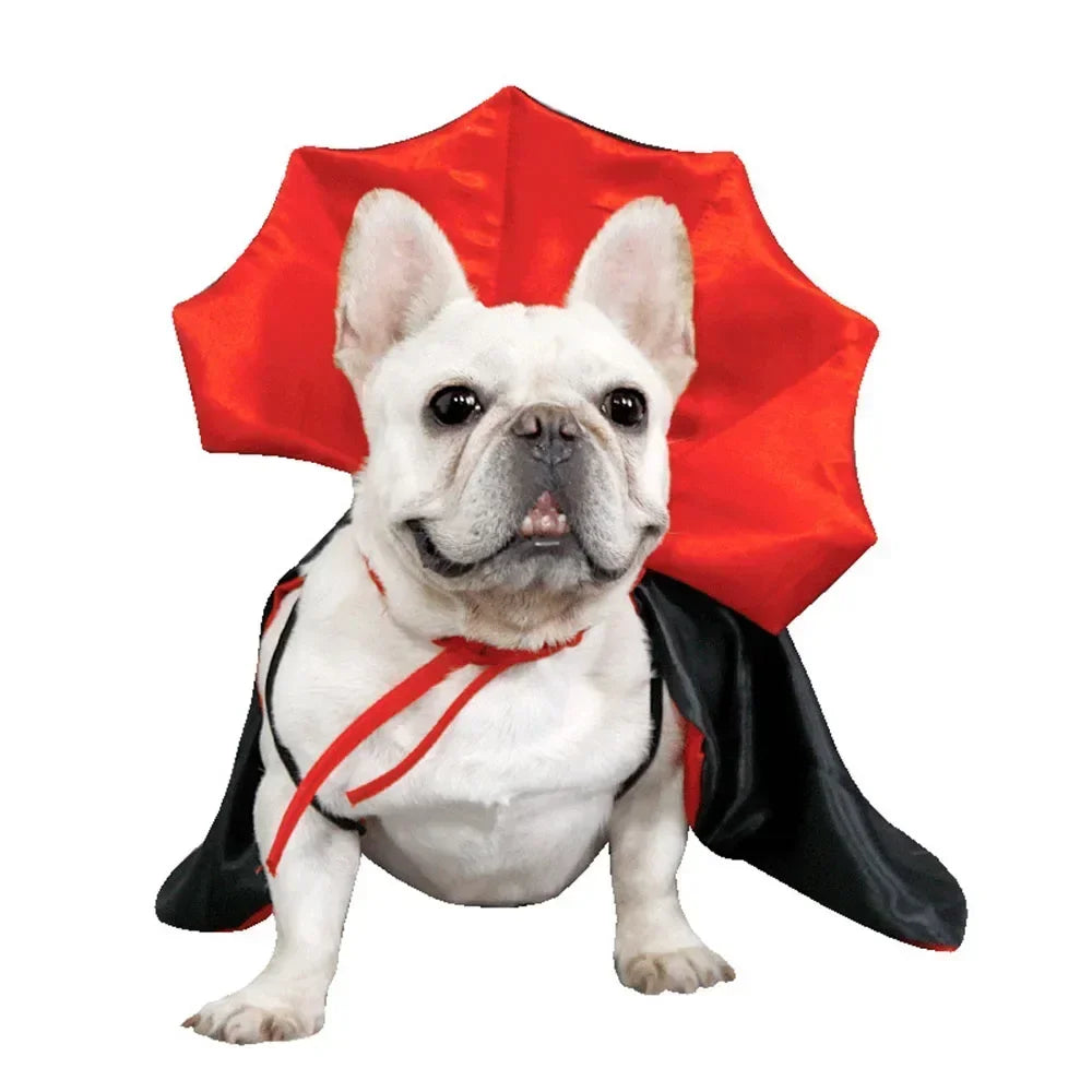 Cat Halloween Costume | Red & Black Cloak