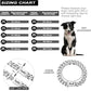 Large Dog Chain Collar | 19mm Gold Buckle