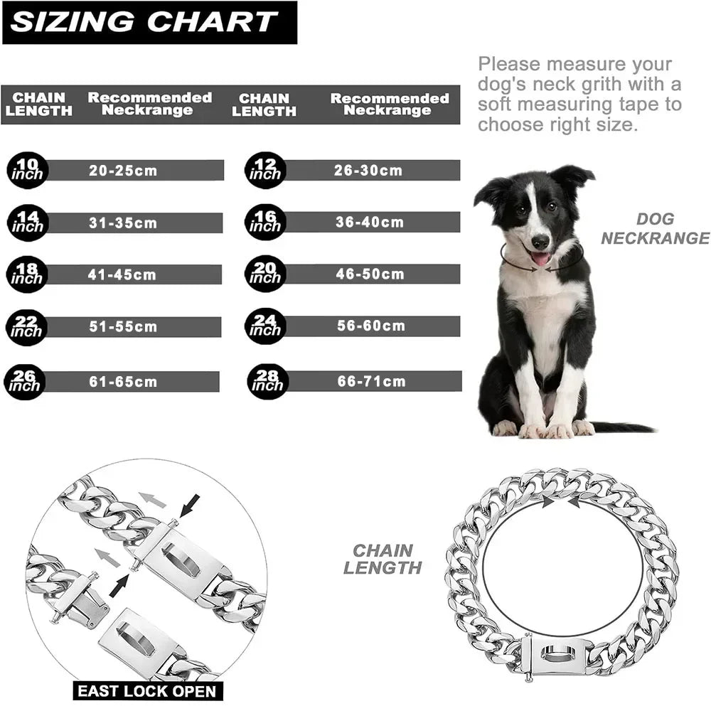 Large Dog Chain Collar | 19mm Gold Buckle