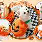 Creative Dog Pumpkin Costume