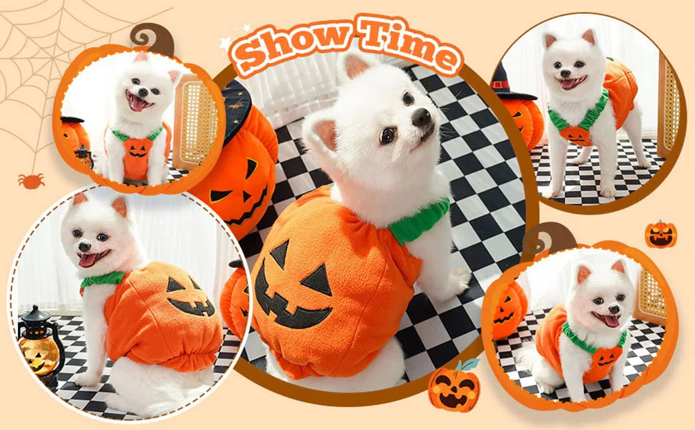 Creative Dog Pumpkin Costume