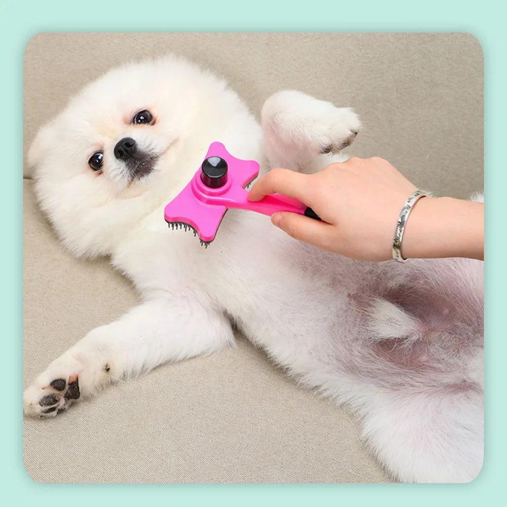 Dog & Cat Grooming Brush with Self-Cleaning Bristles