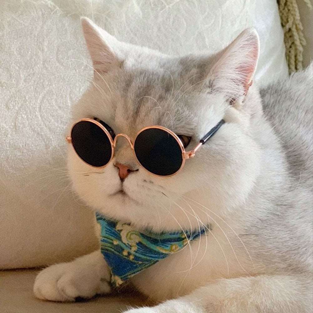 Anti-Slip Cat Sunglasses | Classic Retro Circular Glasses for Pet Accessories, Photos, and Cosplay