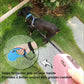 Dog Leash | Hand Free Wrist Safety Strap