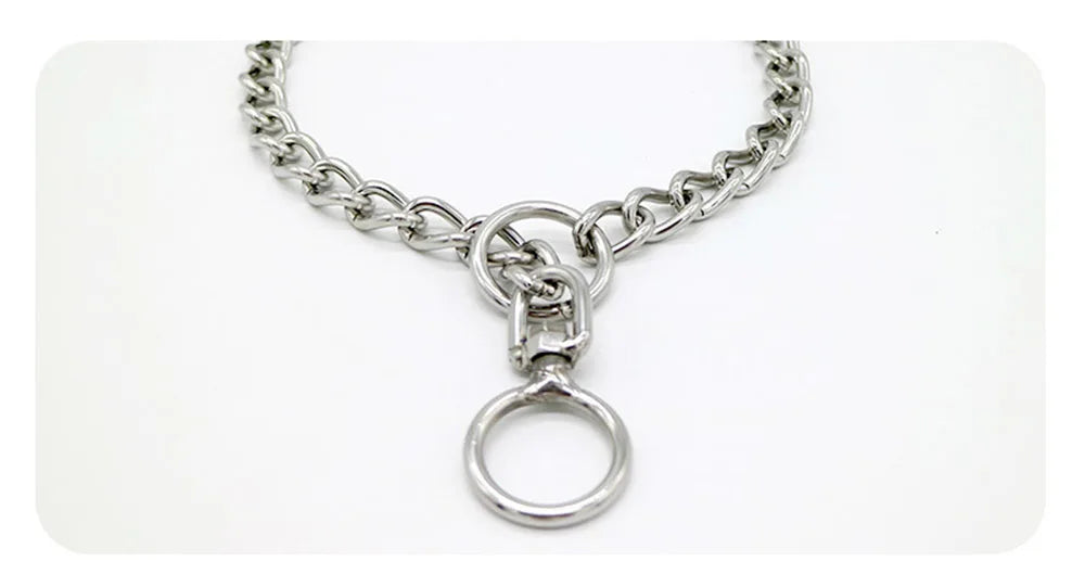 Stainless Steel P Chain Collar