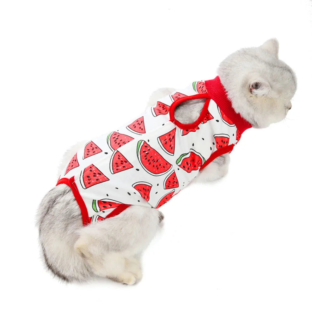 Cat Recovery Suit | E-Collar Alternative
