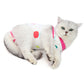 Cat Recovery Suit | E-Collar Alternative