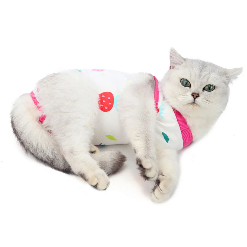 Cat Recovery Suit | E-Collar Alternative