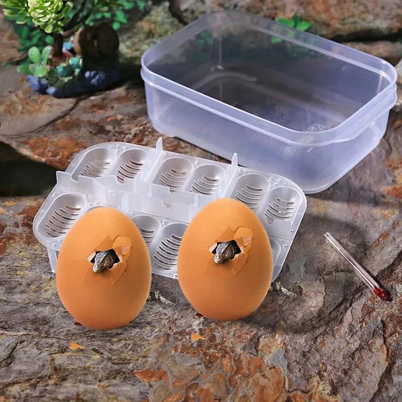 12 Egg Position Incubation Box for Reptiles and Amphibians | Durable Egg Holder and Hatching Box with Integrated Thermometer