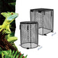 Stainless Steel Heater Guard for Reptiles | Durable Metal Protector for Lamps and Heating Bulbs