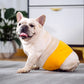 Washable Dog Belly Bands | Adjustable Diapers