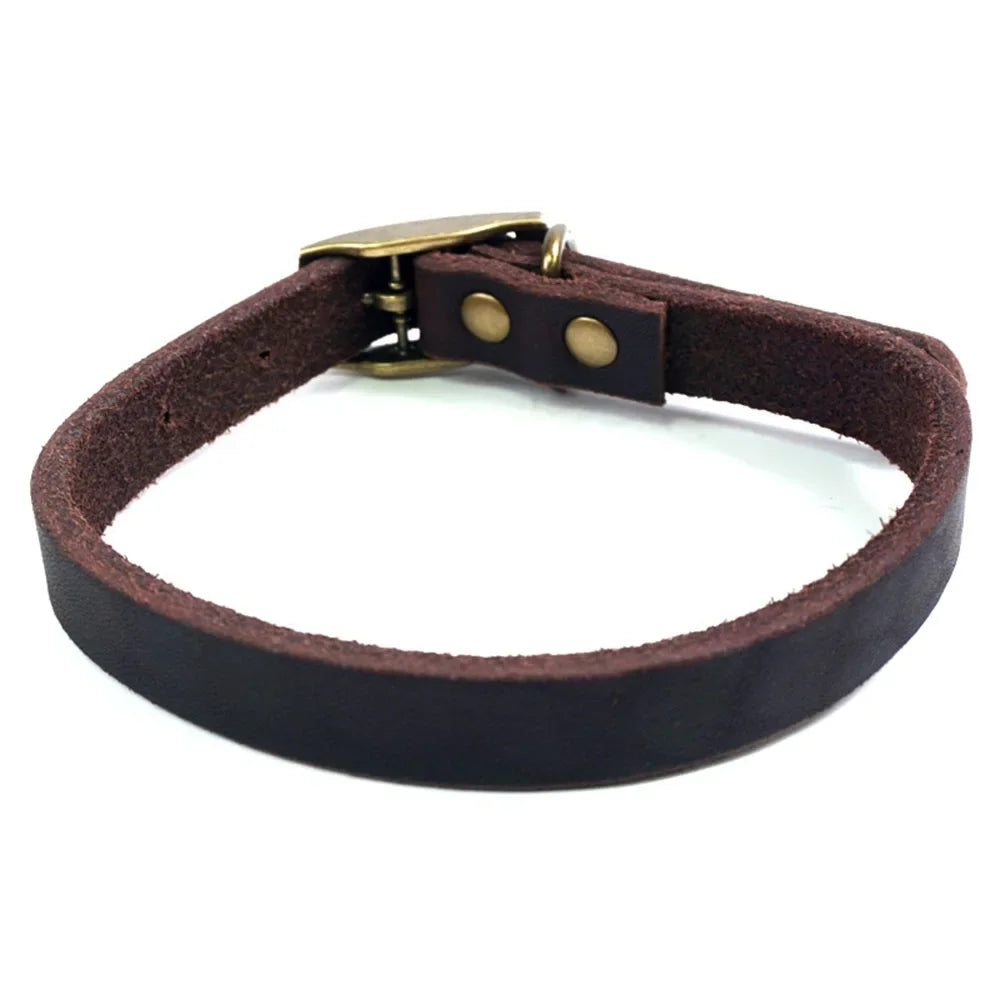 Leather Dog Collar with Heavy Duty Hardware