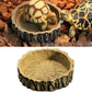 Multi-Shape Reptile Feeding Basin | Versatile and Durable Designs for All Reptiles