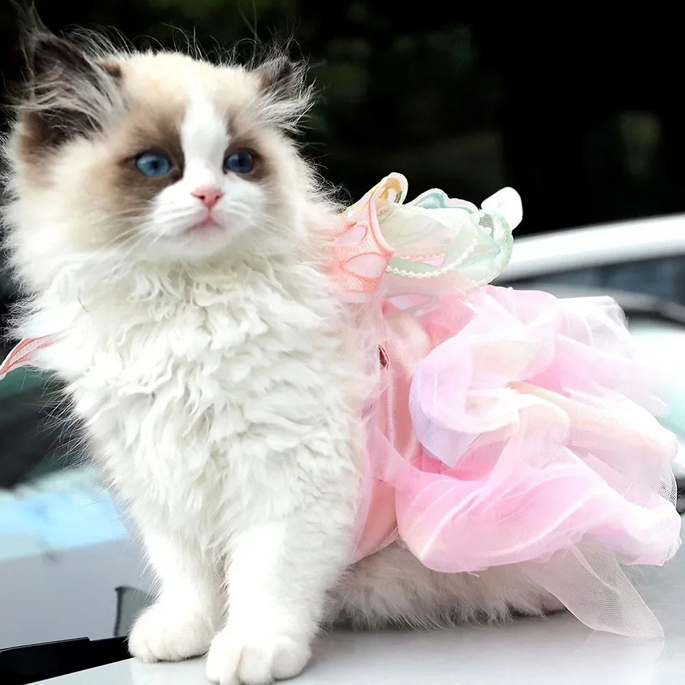 Rainbow Butterfly Dress | for Cats and Dogs