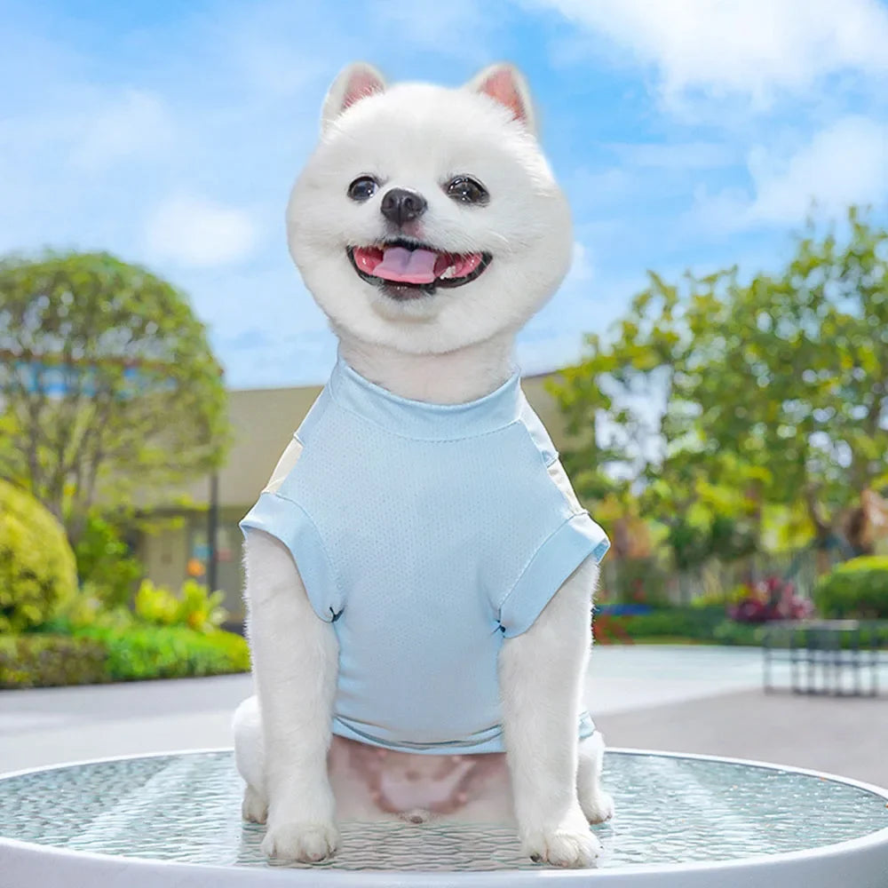 Summer Cooling Dog Vest | Small Sizes