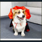 Cat Halloween Costume | Red & Black Cloak