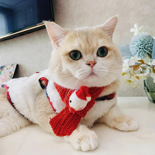 Winter Cardigan with Scarf