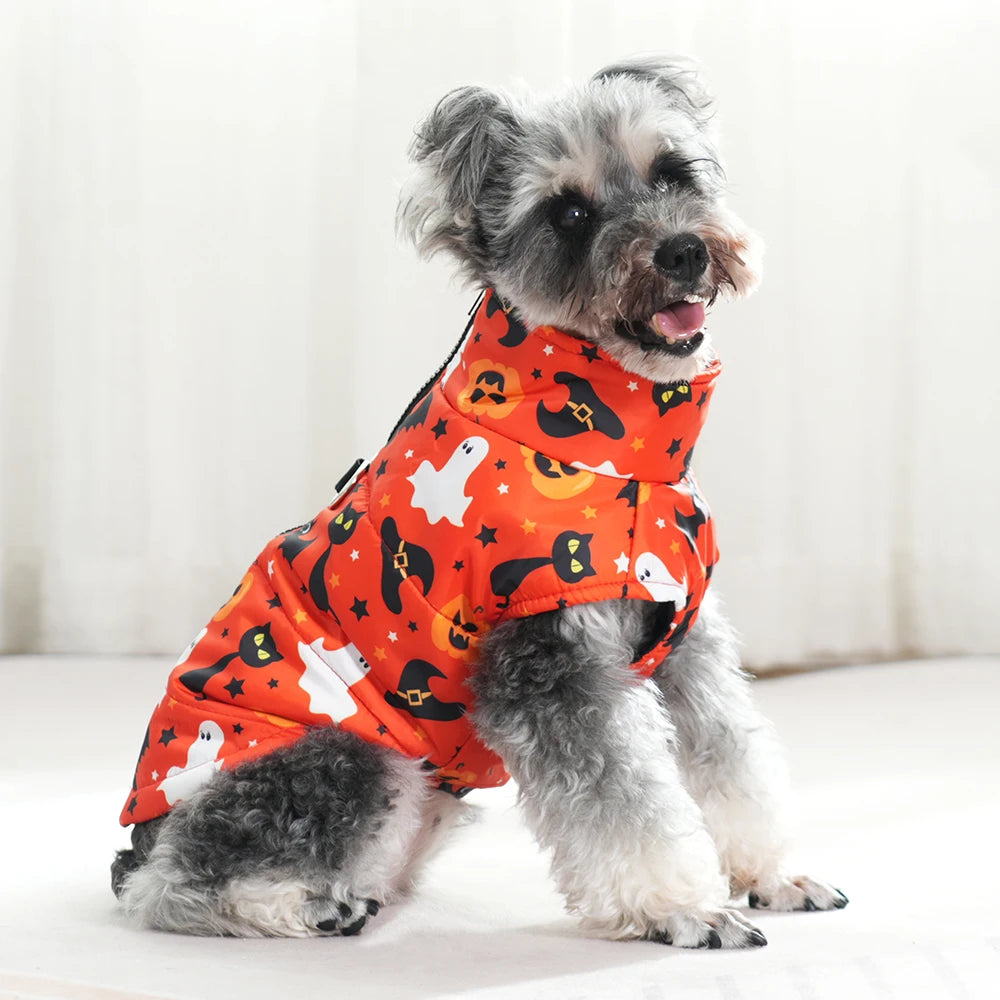 Halloween Dog Jacket Coat | Funny Pumpkin Print
