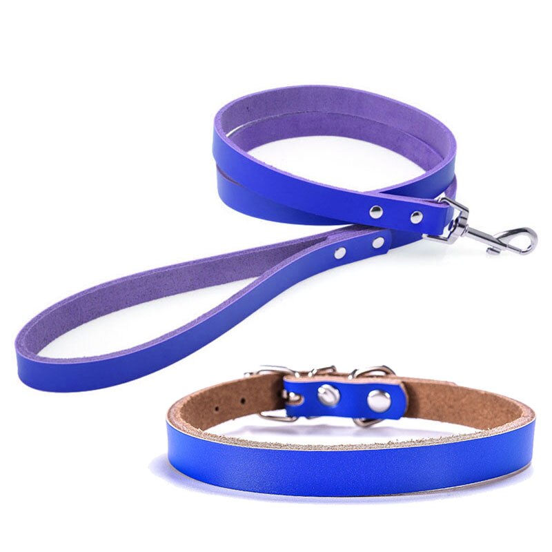 Genuine Leather Adjustable Dog Collars | Pet Collar Leash Lead for Small, Medium, and Large Dogs | Bulldog, Pug, and Beagle Supplies