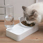 Raised Pet Feeder with Water Dispenser