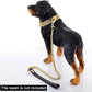 Gold & Silver Cuban Link Dog Collar