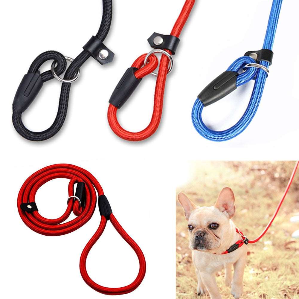 Adjustable Nylon Dog Slip Leash | No-Pull Training Lead for Small Dogs | Pet Puppy Slip Lead Rope