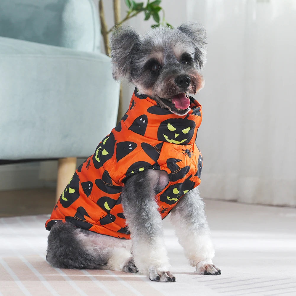 Halloween Dog Jacket Coat | Funny Pumpkin Print